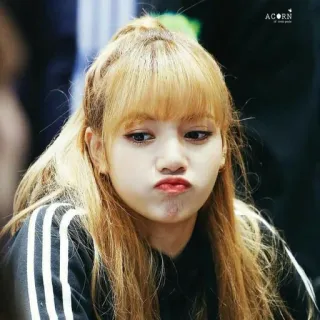 🥺 Lisa kpop, lisa, blackpink, singer, woman, portrait, celebrity whatsapp sticker