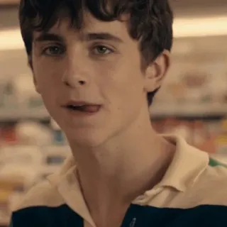 🍃 Timothée Chalamet acteur, célébrité, portrait, langue telegram sticker