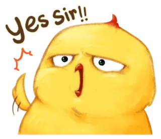 🐤 Yes sir!! fofo, galinha, engraçado, desenho animado whatsapp sticker