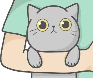 😶 Katze, süß, Tier, Cartoon, Haustier, Kätzchen telegram sticker