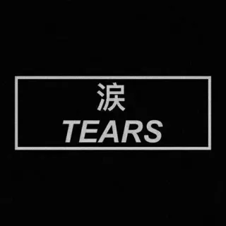 🌪 涙
TEARS слёзы, плачет, грустный, японский, кандзи, эмоция, стикер, белый telegram sticker
