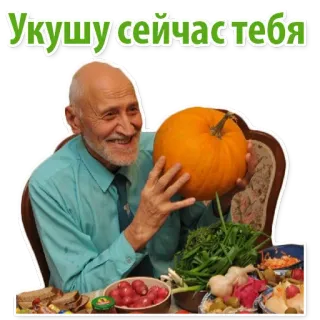 Animalist @stickersb2b telegram stickers