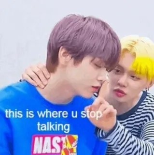 🌸 this is where u stop talking kpop, 밈, txt, 웃긴, 말하지마 telegram sticker