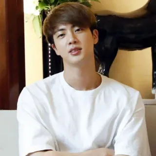 🦚 Jin Jin, BTS, singer, celebrity, K-pop telegram sticker