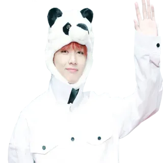 👋 persona, uomo, panda, cappello, inverno, onda, sorridente telegram sticker