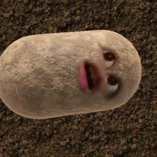 🥔 kartoffel, lustig, gemüse, essen whatsapp sticker