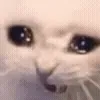 😭