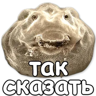 😚 Так сказать frog, russian, sticker, meme telegram sticker