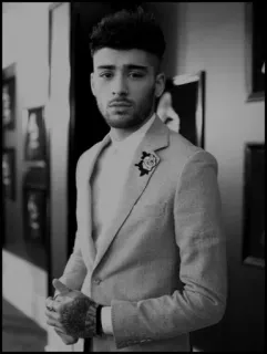 🌑 Zayn Malik 歌手, 男, ポートレート, 有名人 telegram sticker