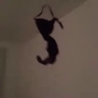 🤩