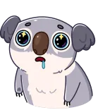 🥺 koala, cartoon, animal, mammal, cute, sticker telegram sticker