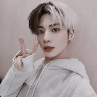 🍣 person, kpop, mann, promi, männlich, sänger, friedenszeichen, jung telegram sticker