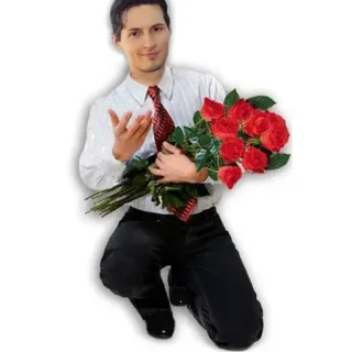🥀 남자, 장미, 꽃, 무릎꿇기, 정장, 넥타이, 부케 telegram sticker