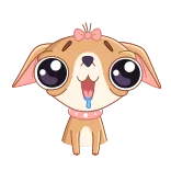 🤩 Hund, Chihuahua, süß, Cartoon, Tier, Haustier whatsapp sticker