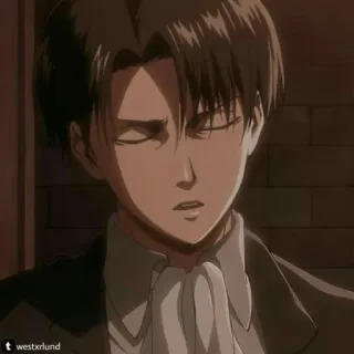 ⚔ Levi Ackerman Attack on Titan Anime, Personagem, Sério, Estoico, Mangá whatsapp sticker
