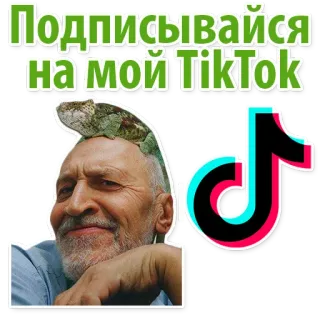 👍 Подписывайся на мой TikTok TikTok, โซเชียลมีเดีย, กิ้งก่า, ผู้ชาย, ติดตาม whatsapp sticker
