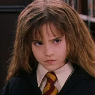 🦋 Hermione Granger Harry Potter hermiona, granger, harry potter, książki, mundurek szkolny, czarodziej whatsapp sticker