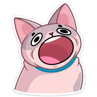 😱 gatto, scioccato, meme, sorpreso, divertente, animale, animale domestico telegram sticker