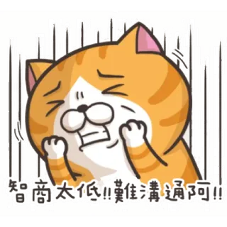 😣 智商太低!!莫佳溝通阿!! 猫, オレンジ, 泣く, 絵文字, 表情 telegram sticker