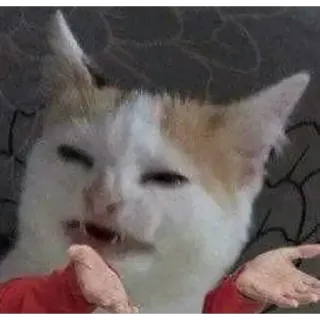 🐱 Shrug cat Internet meme telegram sticker