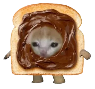 🤎 猫, 吐司, 巧克力, 表情包, 难过, 搞笑, 可爱, 小猫 telegram sticker