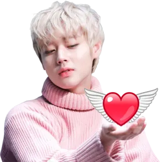 ❤️ сердце, крылья, милый, K-pop whatsapp sticker