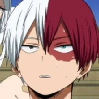 ❄️ Shoto Todoroki My Hero Academia Anime, Postać, Shoto Todoroki, My Hero Academia, Bohater, Manga telegram sticker