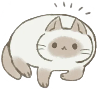 🙂 Katze, Aufkleber, süß, Tier, Haustier, Haustier whatsapp sticker