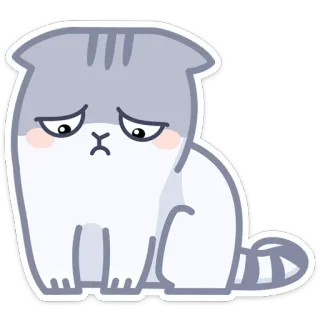 😞 gato, adesivo, triste, fofo, animal whatsapp sticker