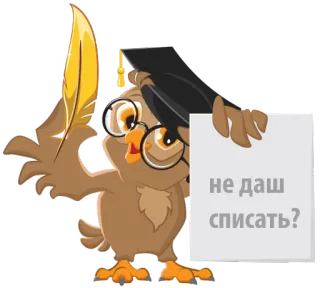 😱 не даш списать? coruja, caneta, escrita, perguntando, educação, estudante whatsapp sticker