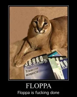 🐱 Floppa FLOPPA
Floppa is fucking done Floppa, Katze, Meme, Felidae, Big Floppa telegram sticker