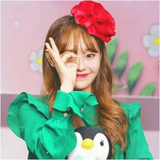 🍓 여자, 소녀, 한국, 꽃, 펭귄, 초록, 귀여운, 아시아 telegram sticker