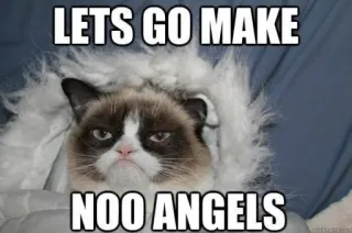 👼 Grumpy Cat LETS GO MAKE
NOO ANGELS 臭脸猫, 表情包, 猫, 幽默 whatsapp sticker