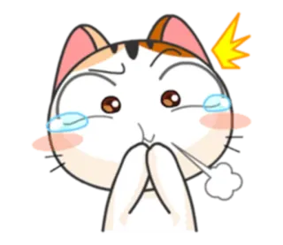😂 cat, cute, sticker, cartoon, crying, emoticon telegram sticker