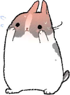 😮 Hase, Häschen, niedlich, Tier, Cartoon telegram sticker