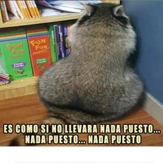🍑 ES COMO SI NO LLEVARA NADA PUESTO... NADA PUESTO... NADA PUESTO rakun, humor, hewan, meme whatsapp sticker