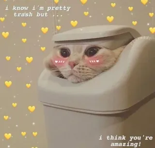 🗑 i know i'm pretty trash but ... i think you're amazing! แมว, ขยะ, น่ารัก, สัตว์, ลูกแมว, หัวใจ, มีม telegram sticker