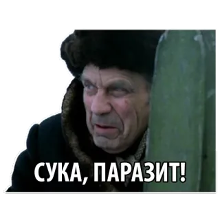 🐕 СУКА, ПАРАЗИТ! angry, russian, curse words, insult telegram sticker