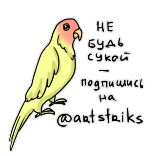🤩 Не будь сукой
подпишись на
@artstriks Papagei, niedlich, abonnieren, Aufkleber, Vogel, Tier whatsapp sticker