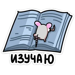 📖 ИЗУЧАЮ 책, 마우스, 공부, 학습, 독서 telegram sticker