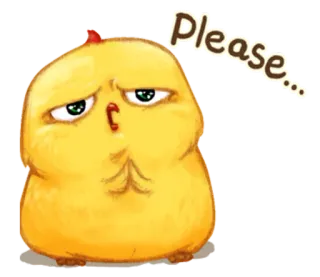 🐤 Please... pintinho, fofo, implorando, pedindo, amarelo, animal whatsapp sticker