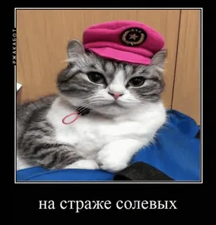 стики от: @links_of_klientre :: @fStikBot telegram stickers