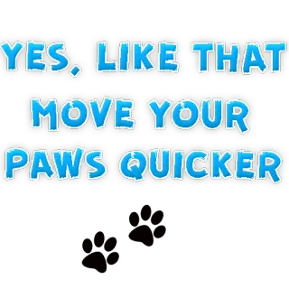 🤩 YES, LIKE THAT. MOVE YOUR PAWS QUICKER tier, ermutigung, pfoten, bewegung, schneller telegram sticker