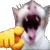 😺
