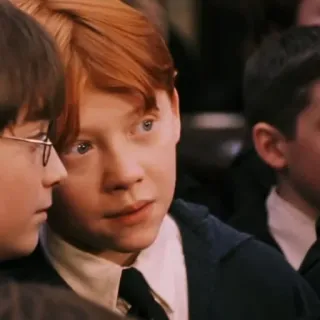 🦁 Ron Weasley Harry Potter ロン・ウィーズリー, ハリー・ポッター, 生徒, 映画, 赤毛 telegram sticker