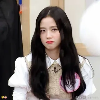 ✨ Jisoo kpop, jisoo, blackpink, певица, женщина, знаменитость, корейская whatsapp sticker