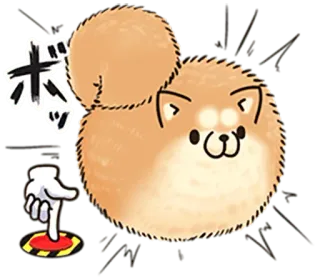 🐶 ボッ Hund, Knopf, Shiba Inu, Cartoon, Japanisch telegram sticker