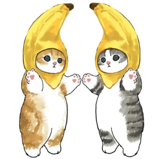 🍌 gato, plátano, animal, lindo, kawaii, pegatina, divertido whatsapp sticker