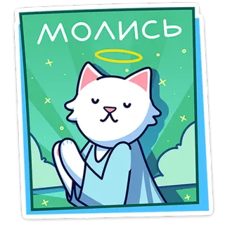 🐈 МОЛИСЬ gato, ángel, orar, religión, halo, espiritual, lindo whatsapp sticker