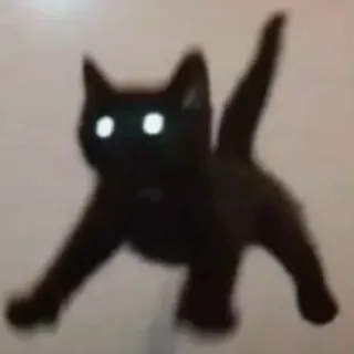 😳 Katze, schwarze Katze, Tier, Haustier, Kätzchen whatsapp sticker